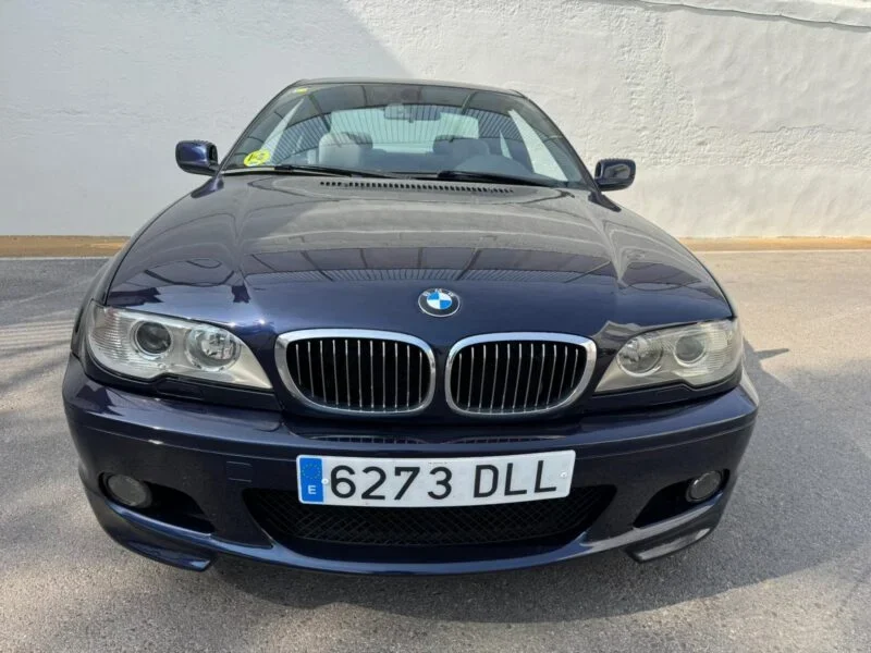 BMW Serie 3 330I
