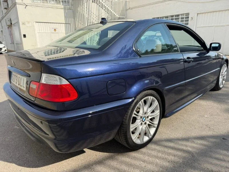BMW Serie 3 330I