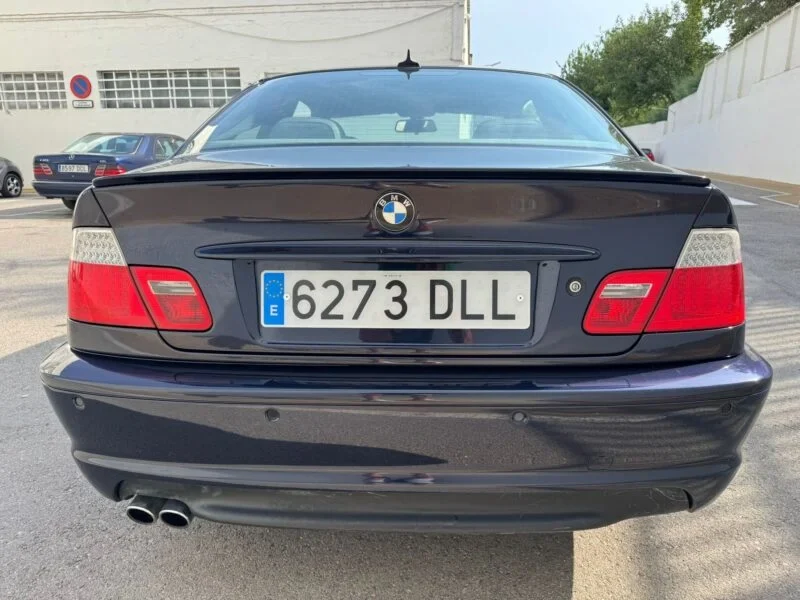BMW Serie 3 330I