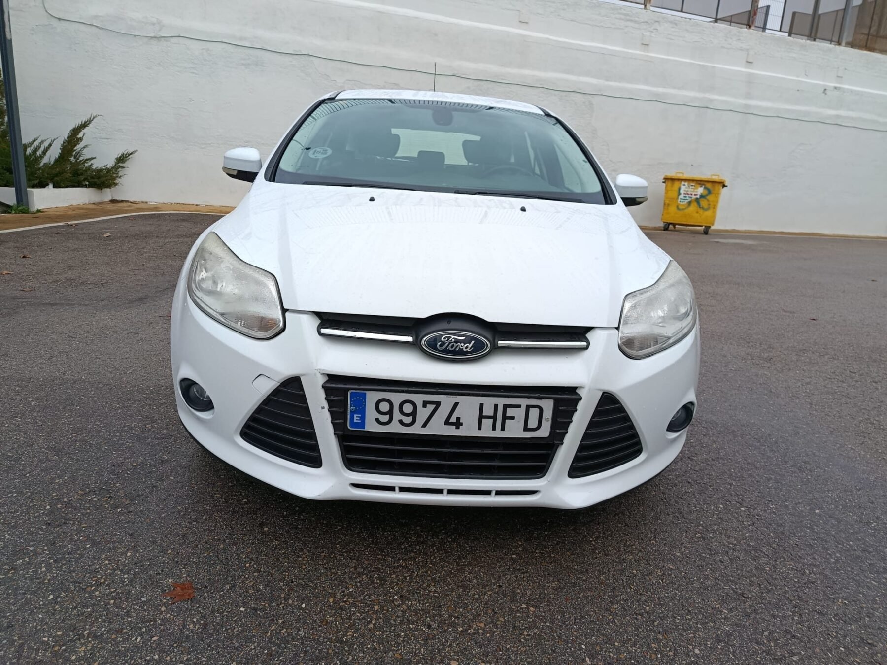 FORD 1.6 TDCi 115cv Trend