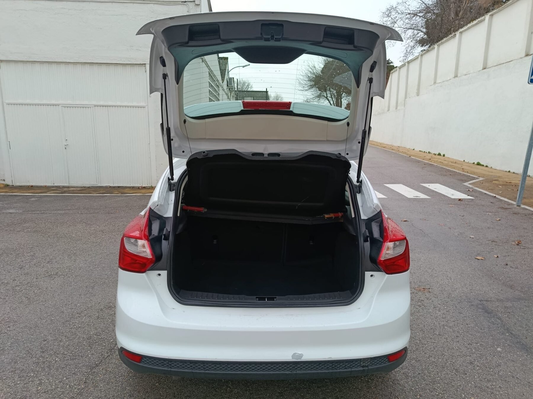 FORD 1.6 TDCi 115cv Trend