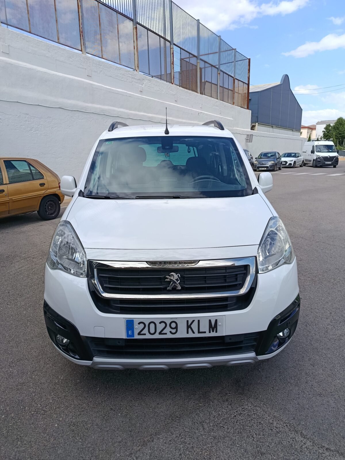 PEUGEOT partner tepee 1.6 bluehdi