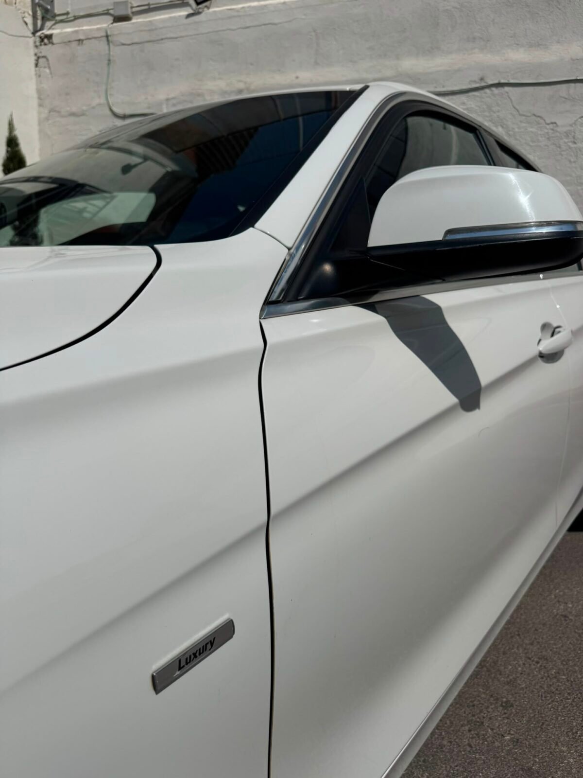 BMW Serie 3 318d luxury
