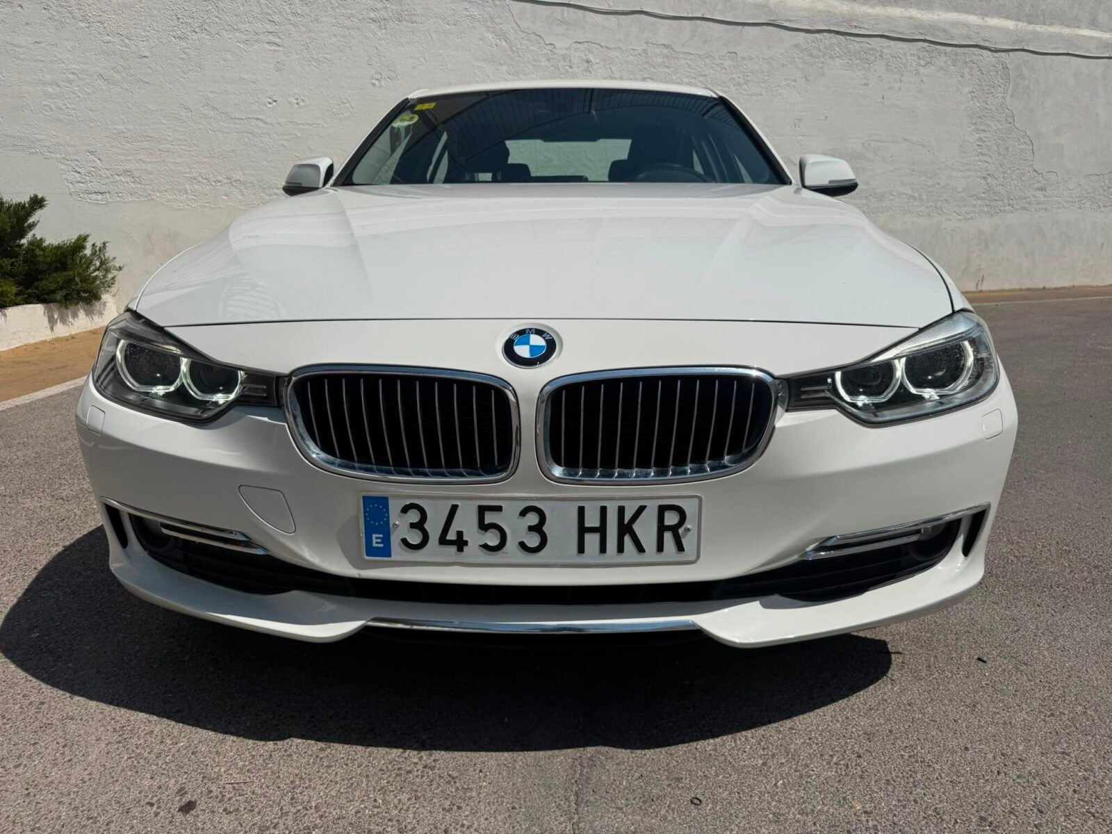 BMW Serie 3 318d luxury